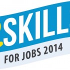 eSkills for Jobs 2014